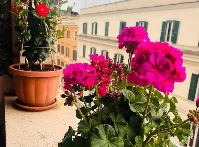 Guest house Hill Town Rome