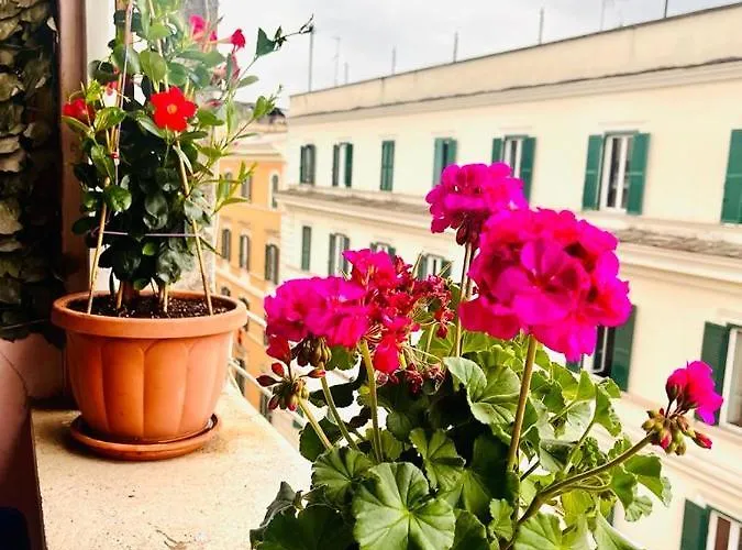 Hill Town Guest house Rome